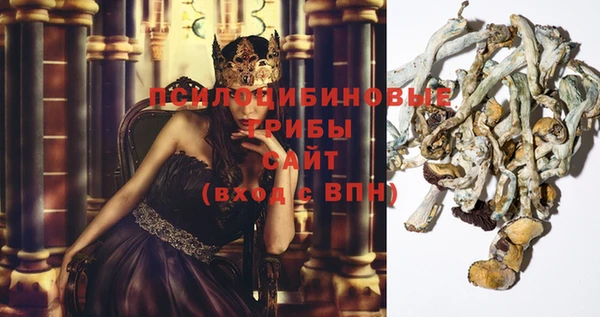 мескалин Арсеньев