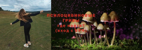 амф Нефтекумск