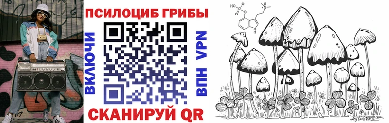 Галлюциногенные грибы Psilocybe  Асбест 